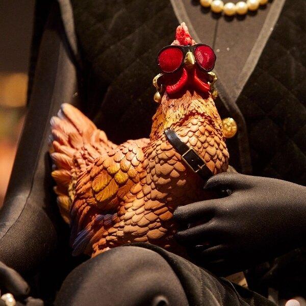 Alternative view of Crazy Chicken-Kreisi Kana
