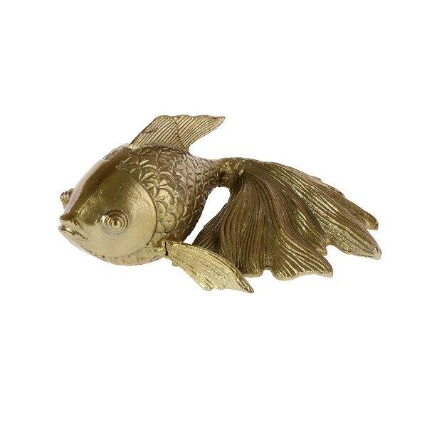 Gold Fish