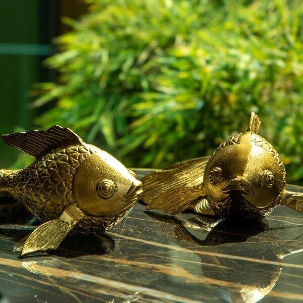 Alternative view of Gold Fish